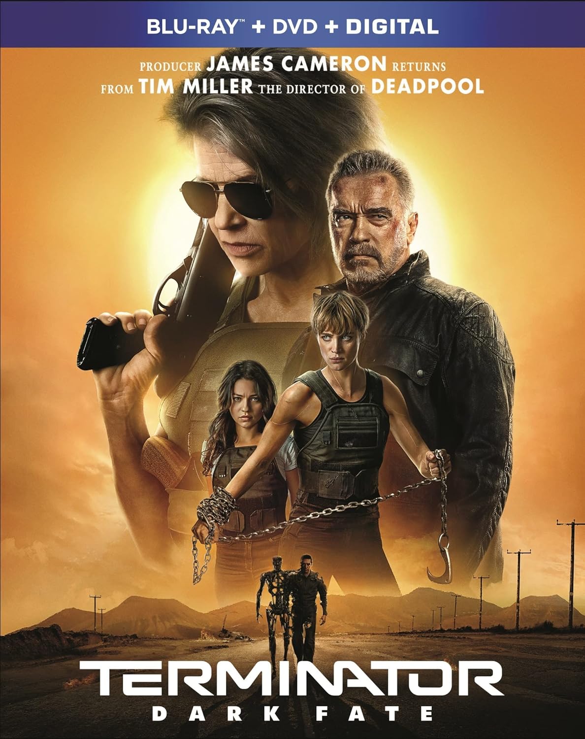 Terminator: Dark Fate (DVD) (Pre-Owned)